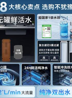 0净器0阻垢剂100机G家RO反渗透用直饮RO反渗透净水热纯水厨下自来