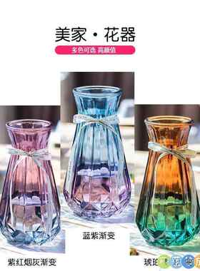 水培水养家用塑料花瓶客厅透明装饰仿玻璃防摔绿萝养花合彩色