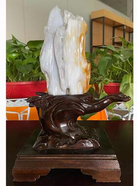 木化玉树化石奇石冰种树化玉原石桌面装饰木化石石大摆件金色杏色