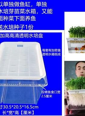 透明水培花盆发芽展示盒幼儿园小盆栽育苗盘芽苗菜无土阳台种菜盘