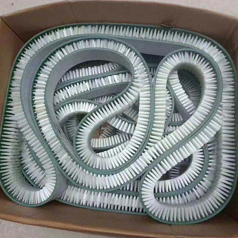 厂家定制 机械皮带刷 工业传动机毛刷条形除尘皮带刷pvc尼龙材质,淘宝优惠券,粉丝福利购,淘宝优惠卷