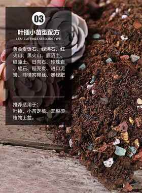 多肉植物专用颗粒土养花通用型营养土植物花土肥料纯颗粒土铺面石