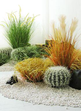 彷真绿色植物草垛草丛室内植物景观造景搭配落地盆栽小草弯草蒲草