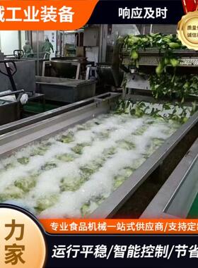 自动梅干菜酸菜气泡清洗机生姜竹笋香椿漂烫机龙虾果蔬高效