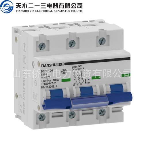 天水二一三TIANSHUI213小型断路器DZX2-100 2P80A3PC100A空气开关 - 图1