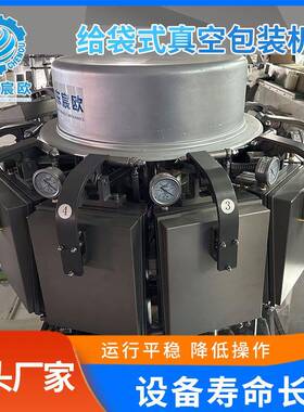 给袋式真空包装机丰都麻辣鸡块酱卤肉全自动给袋式真空包装机