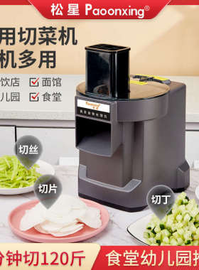 松星商用切菜机多功能全自动切丁切丝机蔬菜胡萝卜土豆小型切片机