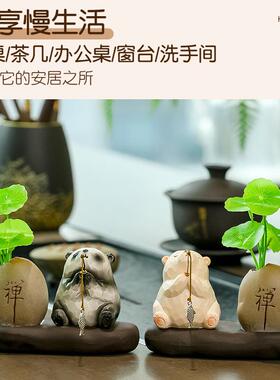 求求了青蛙钓鱼绿萝水培花瓶治愈系解压公仔祈运佛系熊猫家居摆件