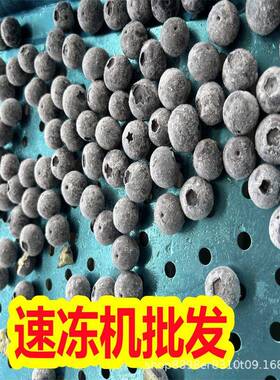 多功能速冻机多品类食品通用速冻设备工业冷冻设备