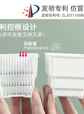 美莳种多肉植物的花盆组合塑料创意小白方带托盘一体控根金小