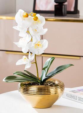电镀陶瓷盆栽蝴蝶兰大花盆现代简约陶瓷花盆
