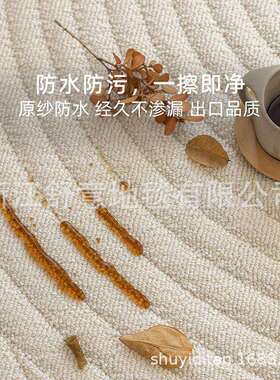 防水地毯客厅2026新款大面积免洗可擦奶油风纯色沙发卧室轻奢高级