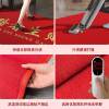 Fish scale silk long outdoor stair step mat shop office building steps non-slip mat shop door commercial carpet