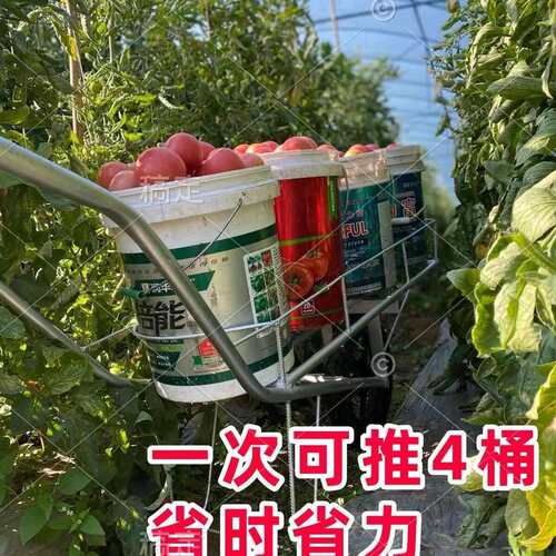 大棚蔬菜采摘运输车农用多桶黄瓜番茄省力单轮车拉小推车懒汉车 - 图0