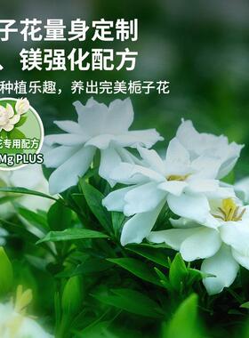 栀子花肥料专用肥营养液开花植物家用养花专用盆栽通用型酸性花肥