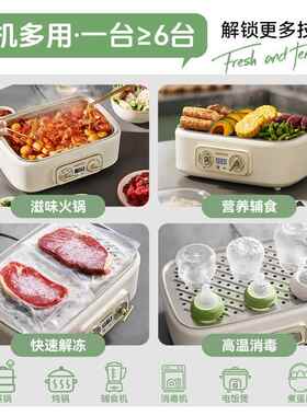 大宇0塑0涂层不锈钢电蒸锅双层18升家用多功能锅预约蒸煮炖食品级