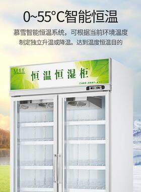商业恒温恒湿柜字画芯片恒湿柜贵金属胶片冷藏箱文物恒湿箱房
