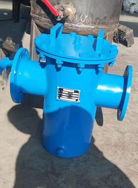 工业篮式过滤器污水毛发过滤器DN150法兰接口直通平底蓝式除污器