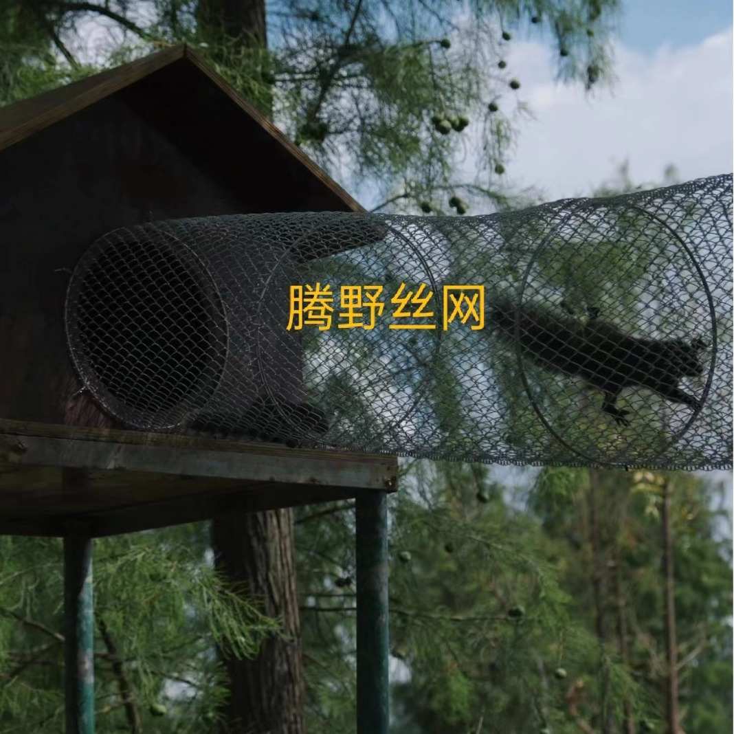 松鼠跑道跑笼网松鼠彩色热镀锌铁丝网养殖勾花网菱形包塑网格片 - 图3