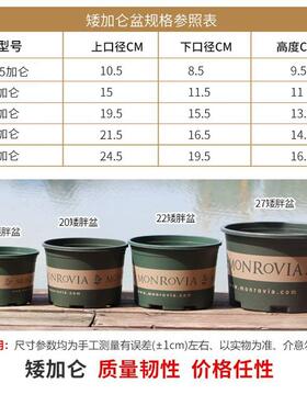 加厚阳台种菜盆栽绿植月季花瓶
