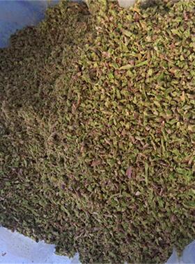 铁皮石斛鲜条切碎机 黄芪人参钟村材切粒机 茯苓大黄大型切片机