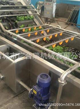 全自动商用果蔬气泡清洗机菠菜韭菜叶类蔬菜清洗设备大枣清洗机