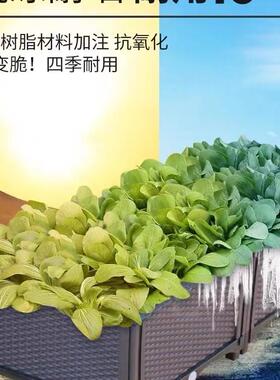室内种菜箱围栏式花盆塑料天台户外阳台楼顶种花的围栏种植箱