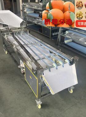全自动轨道式选果机西红柿分选机橙子小枣核桃分选机不锈钢分级机