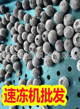 节能型隧道速冻设备 汤圆调专理连食续包速冻生产线 品厂用953速
