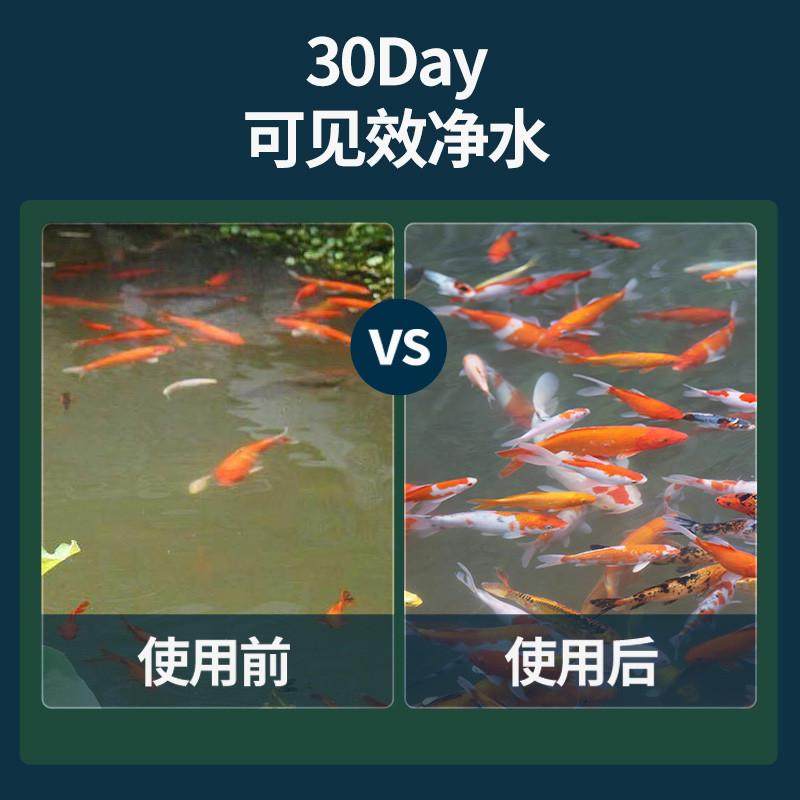 疯狂水草鱼池除藻粉鱼缸去绿藻青苔草缸除褐藻黑藻灭藻剂厂家批发,淘宝优惠券,粉丝福利购,淘宝优惠卷