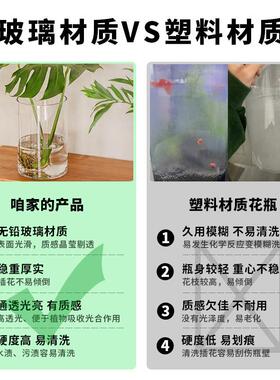 【全国包邮】超大富贵竹高瓶大号落地特大号大口花玻璃花径盆水培