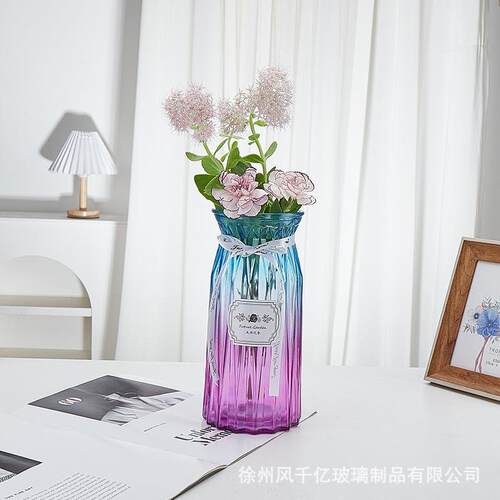 创意渐变玻璃花瓶客厅装饰干花插花桌面绿萝水培客厅家居摆件 - 图2