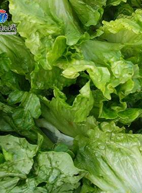 厂家供应全不锈钢工业脱水机食品离心甩干机工业蔬菜脱水机