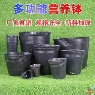 加厚营养钵育苗杯黑色果树育苗袋大号塑料一次性种植袋花盆
