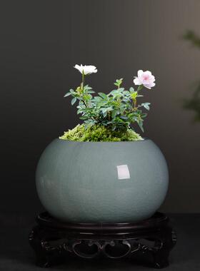 多肉花盆特价清仓月季绿植小盆栽客厅创意透气文竹老桩哥窑罐带托
