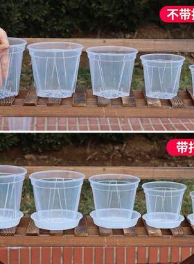 新款 塑料花盆高透青山盆透气控根盆朱顶红盆文心兰蝴蝶兰花盆塑