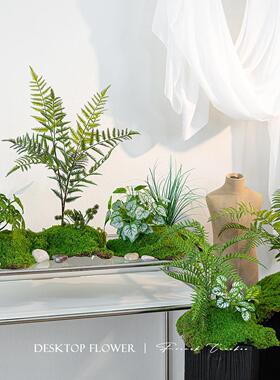 轻奢微景观彷真苔藓绿植造景装饰摆件办公室客厅龟背竹假植物盆栽