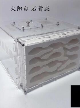 石膏蚁巢巢生亚克力城堡试管宠物生日特硬蚁巢宠物混凝土散装长宽