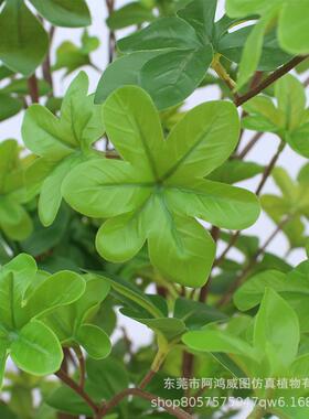 仿真绿植马醉木植物吊钟假花树盆栽客厅大型落地摆件装饰仿真植物
