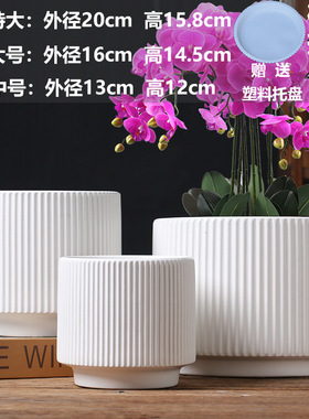 蝴蝶兰亚马逊批发直销陶瓷花瓶