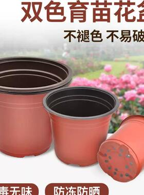 双色育苗花盆营养钵塑料种植一次性扦插加厚大号植物多肉简易育苗