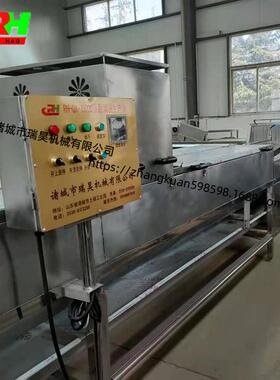 大型双排洗蛋机 瑞昊厂家生产养殖场 商用鸭蛋清洗机洗蛋机