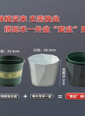 26.5cm水培花盆吊兰绿萝文竹水仙树脂自吸水懒人盆免浇水桌面绿植