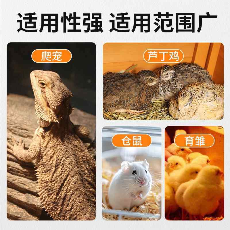小鸡育雏保温灯芦丁鸡加热灯加温灯太阳灯鸡用取暖灯乌龟保暖灯泡,淘宝优惠券,粉丝福利购,淘宝优惠卷