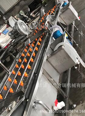 大姜辣椒茄子气泡清洗机包装袋清洗设备果蔬喷淋气泡清洗机