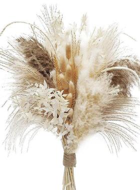 80PCS Natural Fully Pampas Grass Bouquet Boho Home Decor Phr
