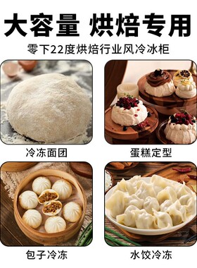 烘焙插盘冷柜慕斯蛋糕无霜超大低温柜海鲜饺子速冻柜四门商用冰箱