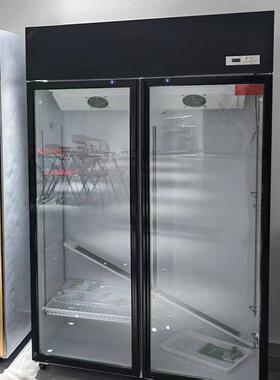 鲜花柜商用冷藏柜花店花束立式展示柜网红风冷无霜保鲜柜跨境