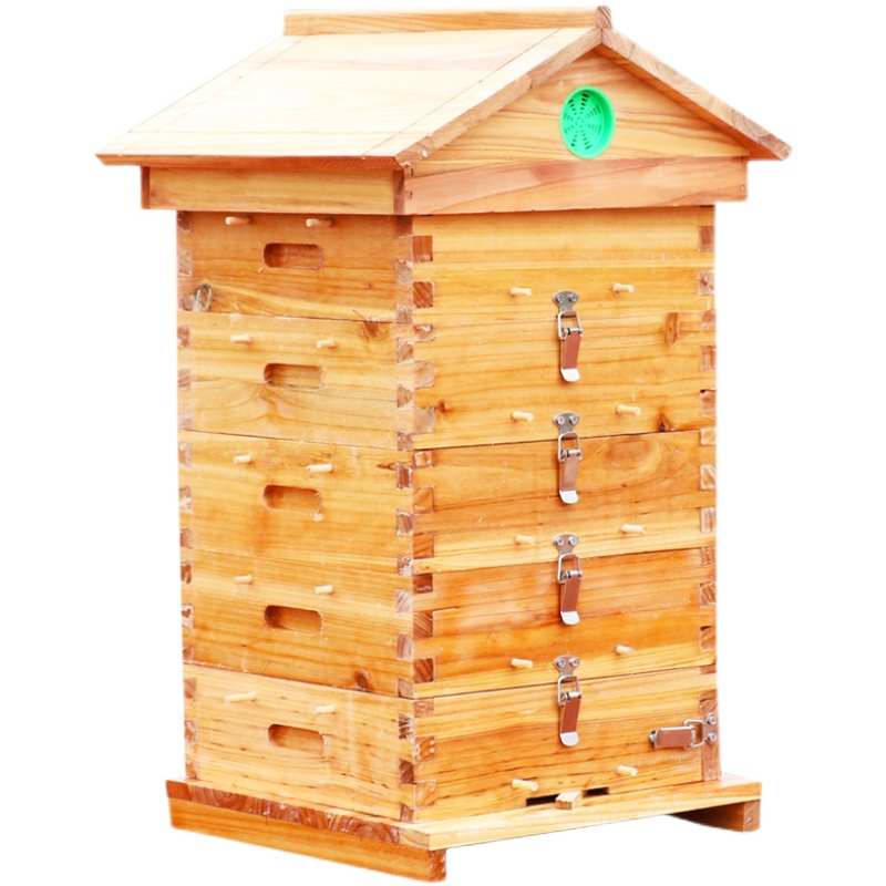 中蜂格子蜂箱土养密蜂箱五层蜜蜂诱蜂箱全套方格子老式迷你小蜂箱 - 图3