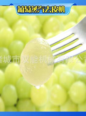大型葡去皮机 无化学剂 添加 自流动化操作适配果蔬萄加MAGA-102